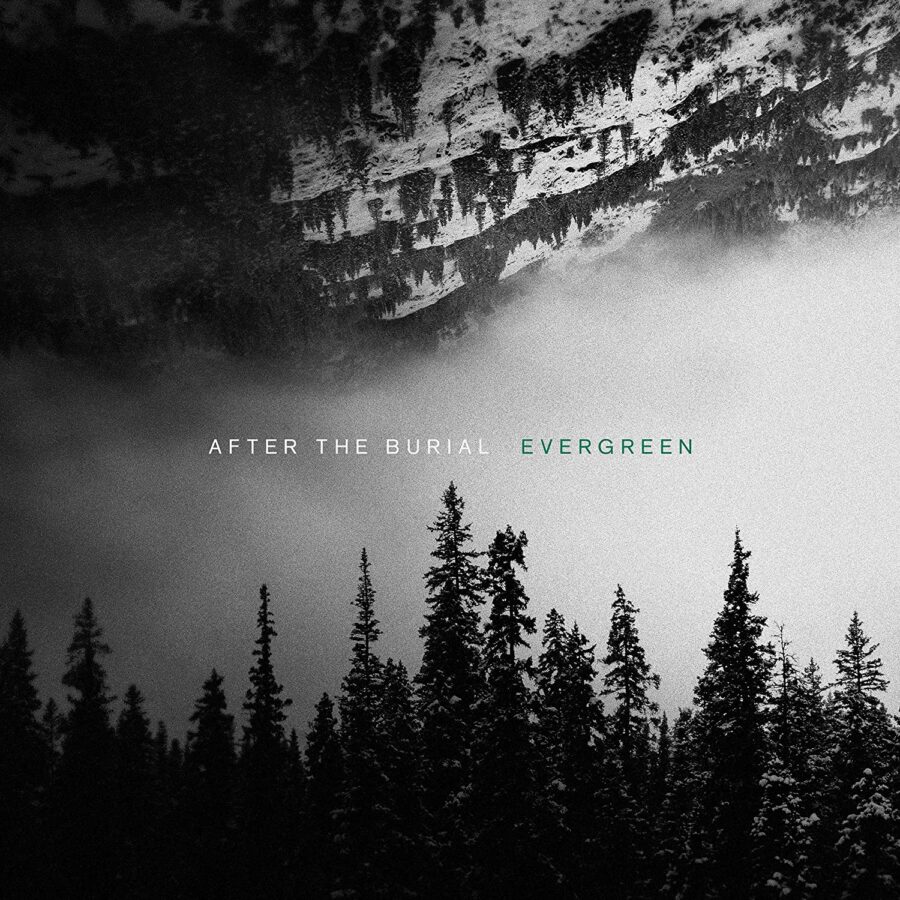 Vinilo de After The Burial - Evergreen. LP