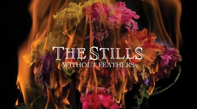 The Stills – Without Feathers. LP