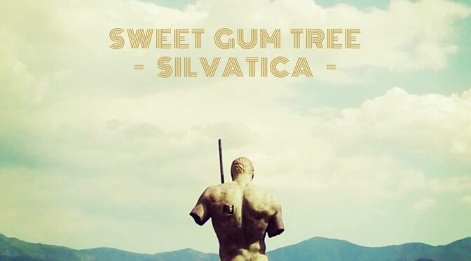 Sweet Gum Tree – Silvatica. LP