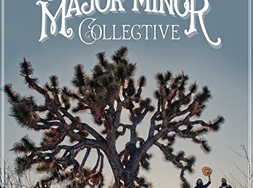 Vinilo de The Picturebooks - The Major Minor Collective. LP+CD