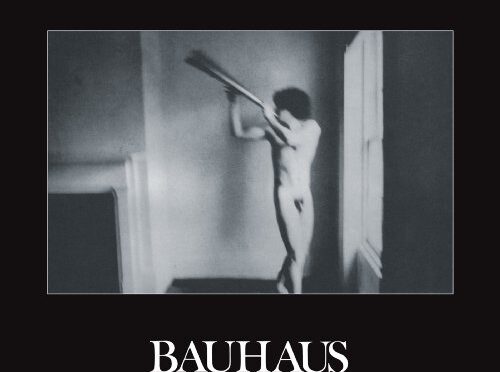Bauhaus – In The Flat Field. LP