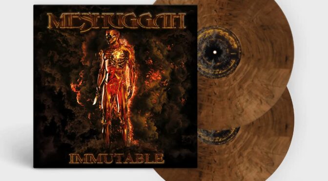Vinilo de Meshuggah – Immutable (Red/Black Marbled). LP2