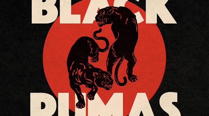 Vinilo de Black Pumas – Black Pumas. LP