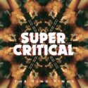 Vinilo de The Ting Tings – Super Critical. LP