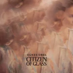 Agnes Obel – Citizen Of Glass. LP