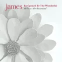 Vinilo de James – Be Opened By The Wonderful. LP2