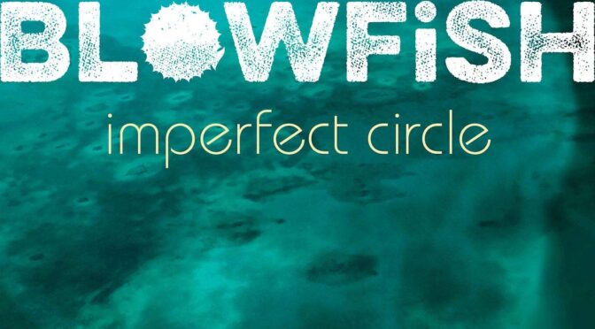 Vinilo de Hootie & The Blowfish – Imperfect Circle (Black). LP