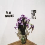 Vinilo de Flat Worms – Into The Iris. 12″ EP
