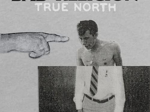 Vinilo de Bad Religion - True North (Black). LP