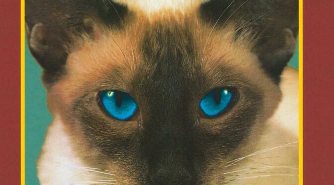 Vinilo de Blink-182 ‎– Cheshire Cat (Reissue). LP