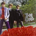 Vinilo de Bee Gees – The Studio Albums 1967-1968. Box Set