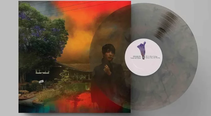 Vinilo de Sharon Van Etten - We’ve Been Going About This All Wrong (Vinyle Marbré Gris). LP 